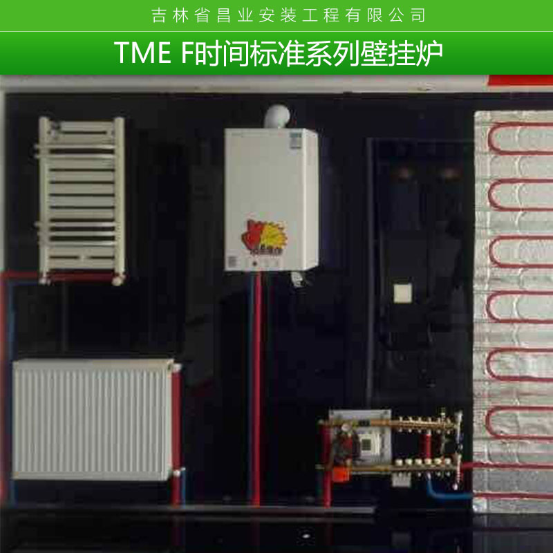TME F時(shí)間標(biāo)準(zhǔn)系列掛壁爐 智能防凍掛壁爐熱水器 家用供暖熱水兩用掛壁爐
