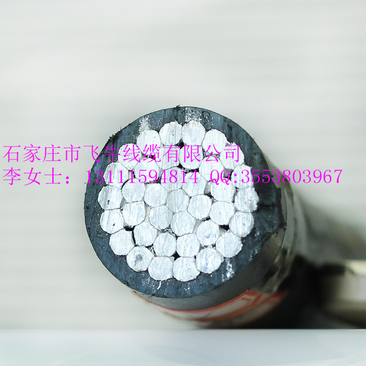 廠家直銷高低壓電力電纜/架空線/鋼芯鋁絞線/架空絕緣電纜