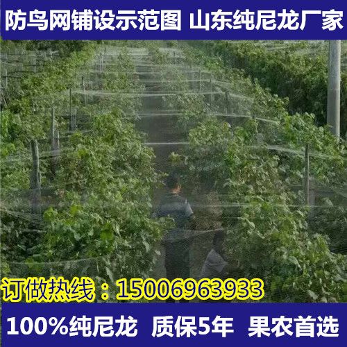哪里魚塘有用防鳥網的？使用魚塘防鳥網的好處