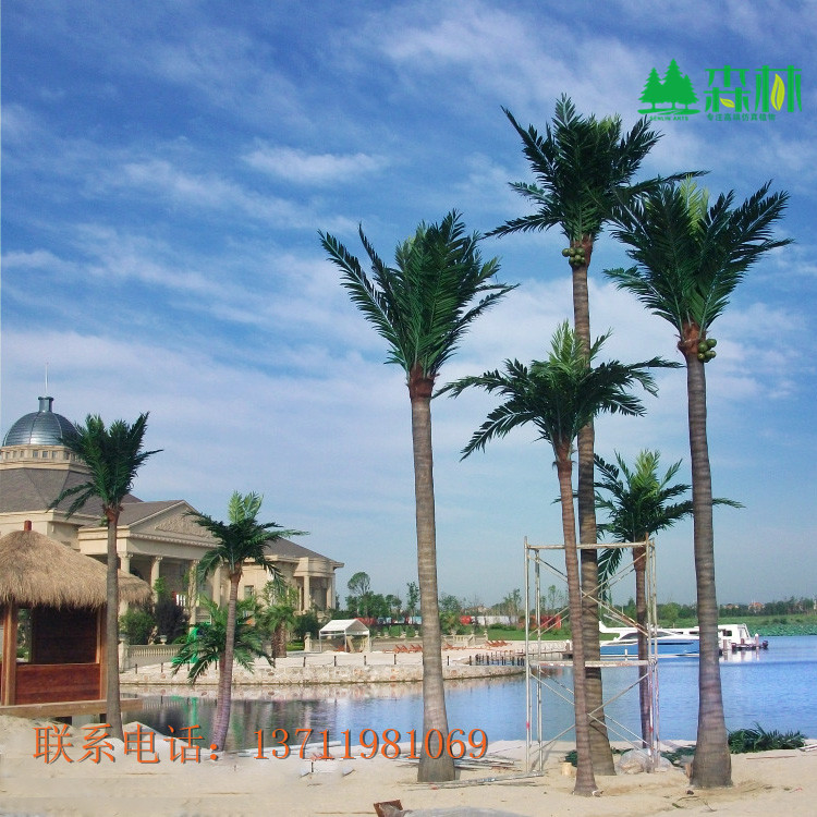 福建椰子樹仿真椰子樹廠家直銷 玻璃鋼材質(zhì) SL-YS-5 仿真植物工廠