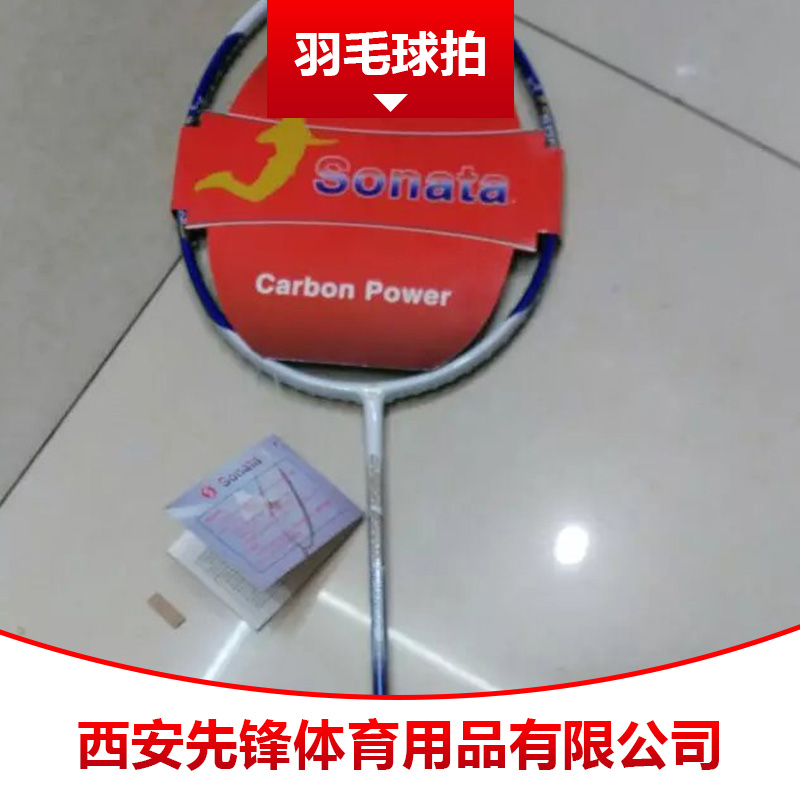 西安羽毛球拍批發(fā) 訓練比賽用羽毛球拍 碳纖維羽毛球拍  陜西西安羽毛球拍
