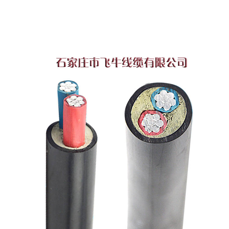 電力電纜價格 VLV2*10