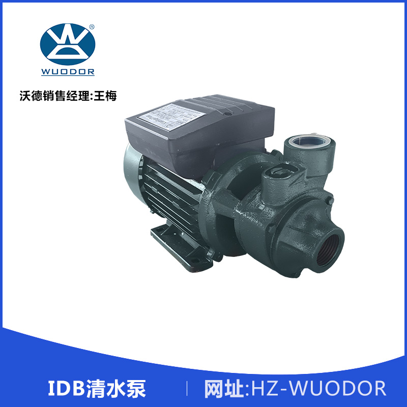 木川 IDB 清水泵 1DB-35家用清水泵 增壓抽水泵 高揚(yáng)程旋渦式清水泵