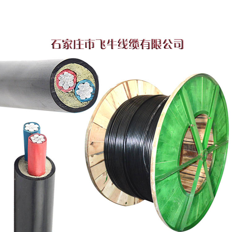 電力電纜價格 VLV2*10