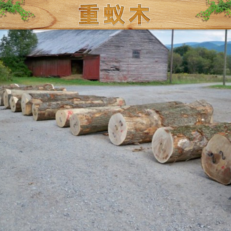 重蟻木  依貝原木 重蟻木 地板材 仿古家具材料