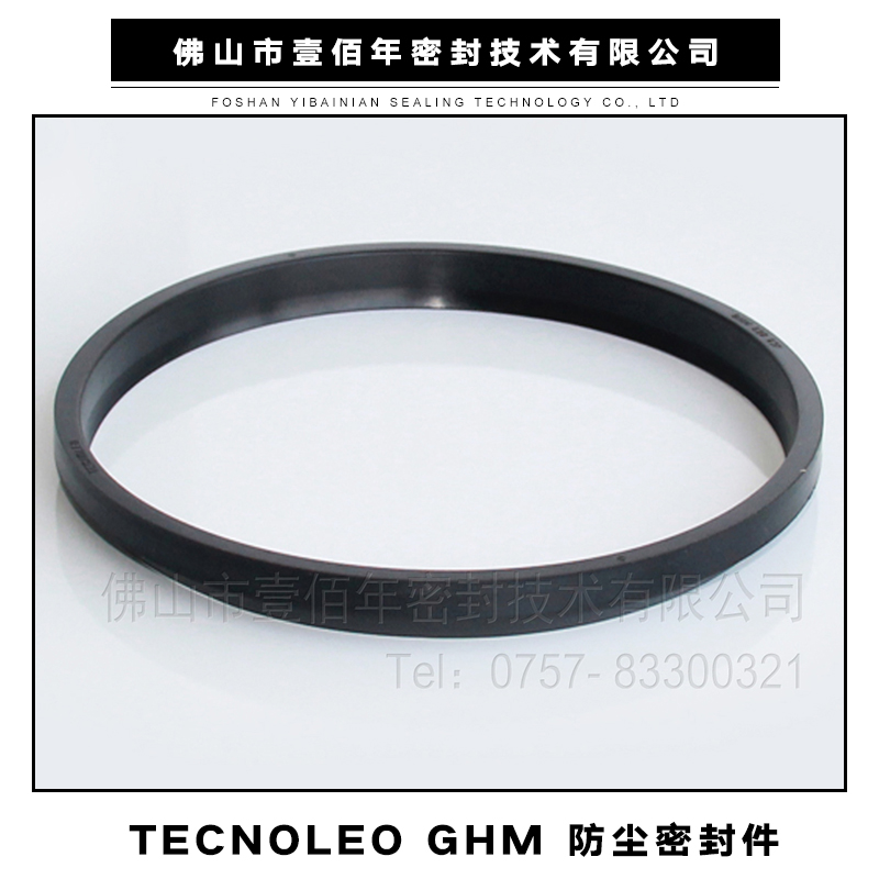 活塞*密封件、TECNOLAN密封件價格、廣東進口液路堅密封件批發(fā)、佛山機械密封墊圈