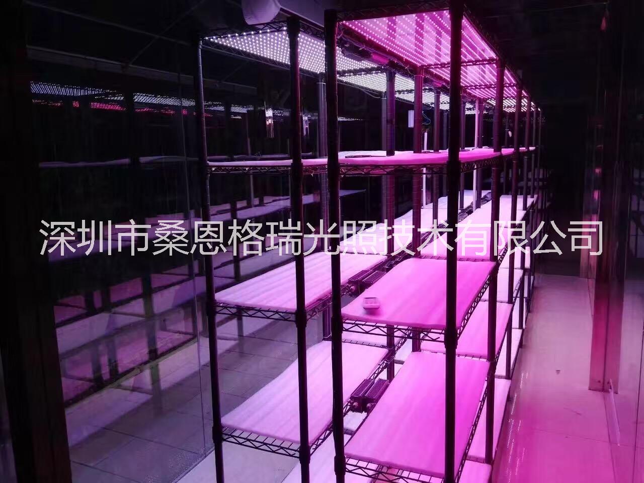 供應(yīng)植物工廠全光譜植物生長燈