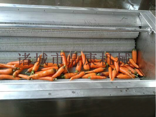 毛刷清洗去皮機(jī)/白菜清洗機(jī)/蔬菜清洗機(jī)/諸城鼎康機(jī)械