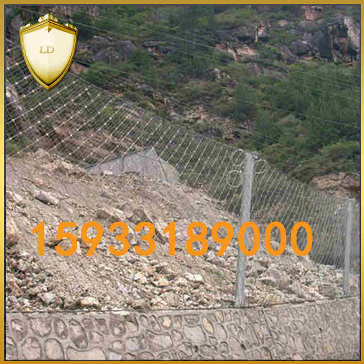 被動防護網廠家 被動防護網現(xiàn)貨