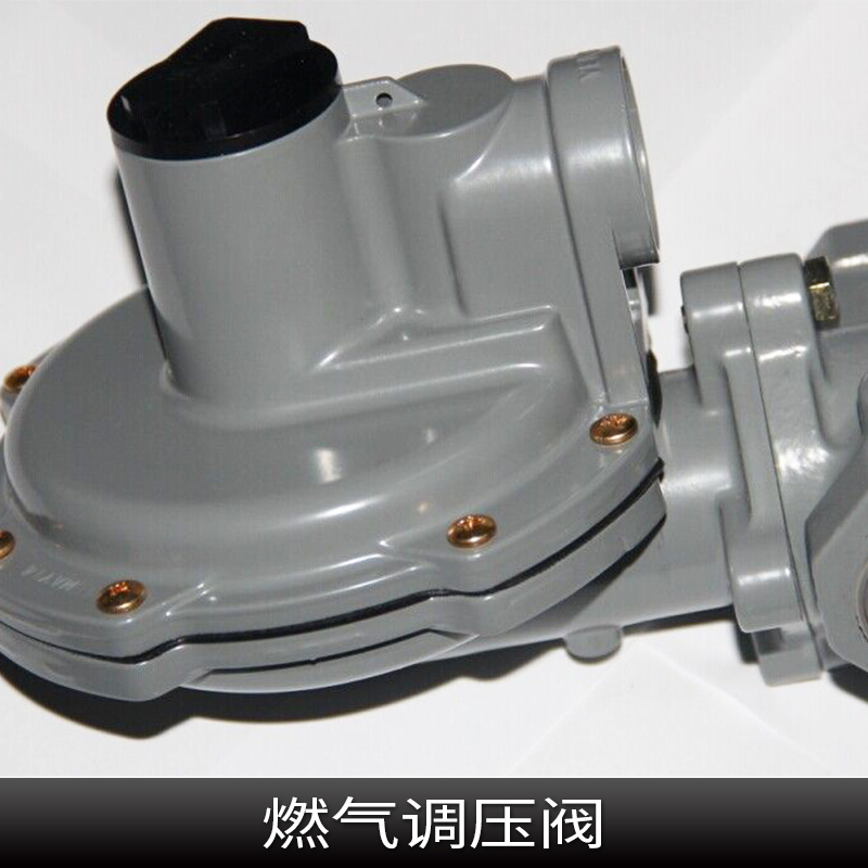 河北衡水燃?xì)庹{(diào)壓器廠家直銷報(bào)價(jià)規(guī)格型號(hào)選型