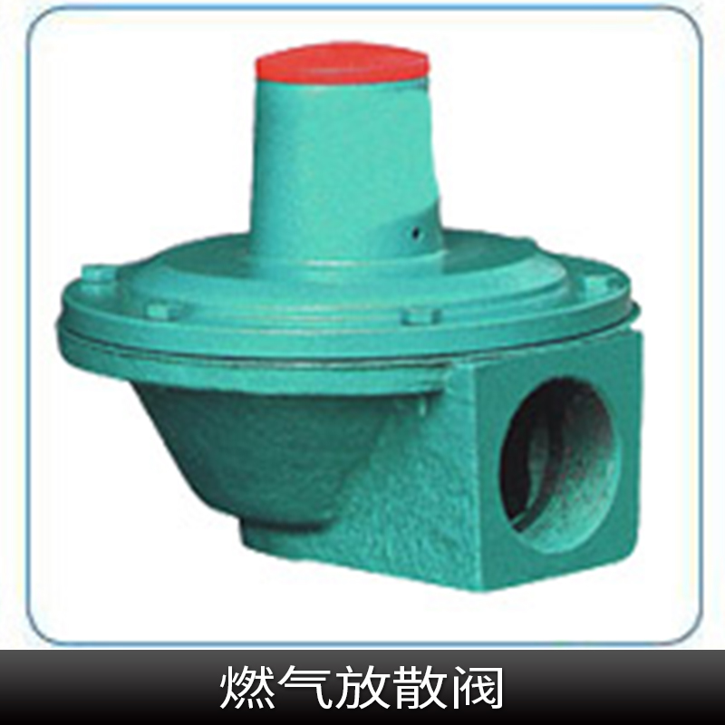 燃?xì)夥派㈤y產(chǎn)品 燃?xì)夥派㈤y批發(fā) 燃?xì)夥派㈤y現(xiàn)貨 燃?xì)夥派㈤y價(jià)格