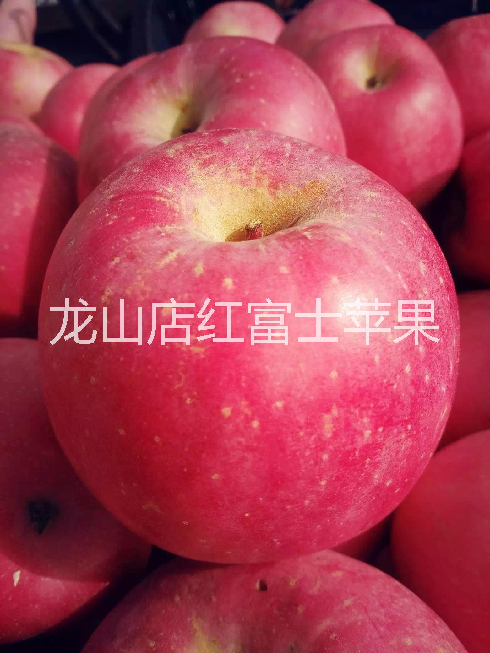 供應(yīng)煙臺(tái)蓬萊龍山店嘎啦蘋(píng)果*