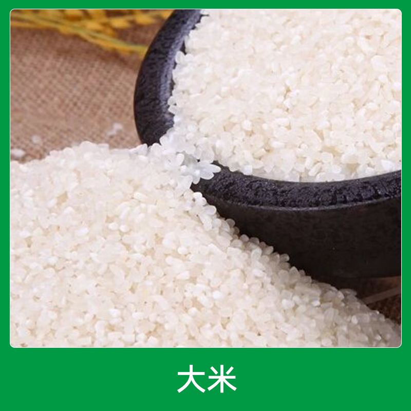 五常稻花香大米廠家批發(fā) 天然生態(tài)綠色大米生產(chǎn)加工 供應(yīng)商