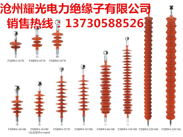 FXBW4-10/70復合絕緣子