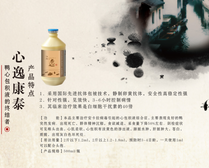 雞得了支氣管栓塞怎么辦？江北逸品