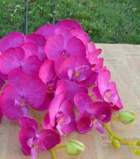 仿真花大號8頭蝴蝶蘭花藝絹花假花 8頭蝴蝶蘭仿真