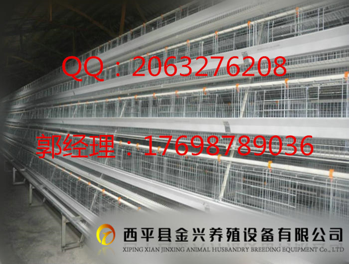 供應(yīng)自動(dòng)化撿蛋機(jī)    廠家直銷