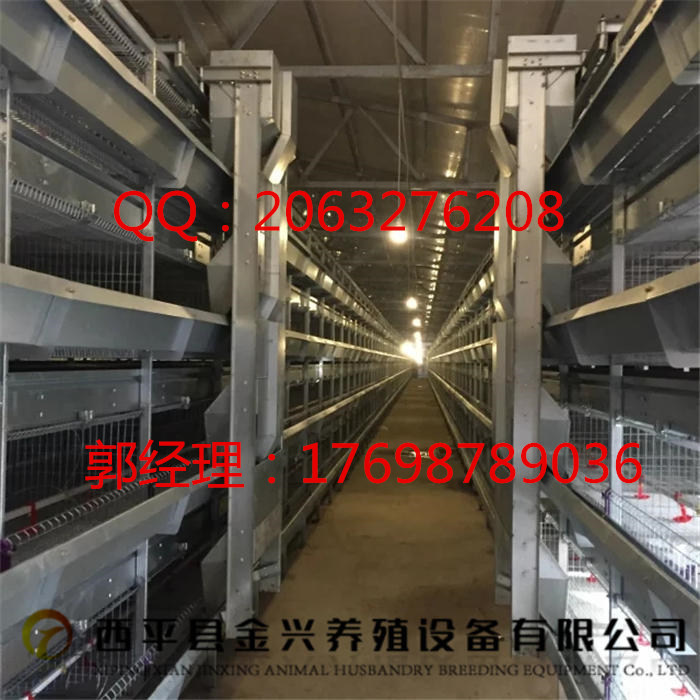 供應(yīng)自動(dòng)化撿蛋機(jī)    廠家直銷