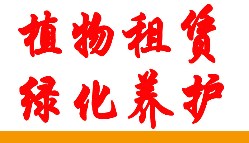 天堂鳥綠植酒店綠化 天堂鳥綠植酒店綠化出租賃養(yǎng)護(hù)大型 天堂鳥綠植酒店綠化出租賃養(yǎng)護(hù)大中