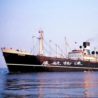 糧食專(zhuān)業(yè)集裝箱海運(yùn)玉米大豆高粱專(zhuān)業(yè)海運(yùn)營(yíng)口-廣州海運(yùn)