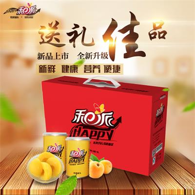 水果罐頭批發(fā)，和派425蜜橘罐頭廠家直銷