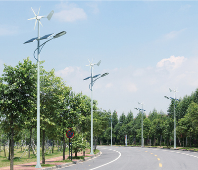 風(fēng)光互補路燈/海南風(fēng)光互補路燈價格/風(fēng)光互補路燈廠家