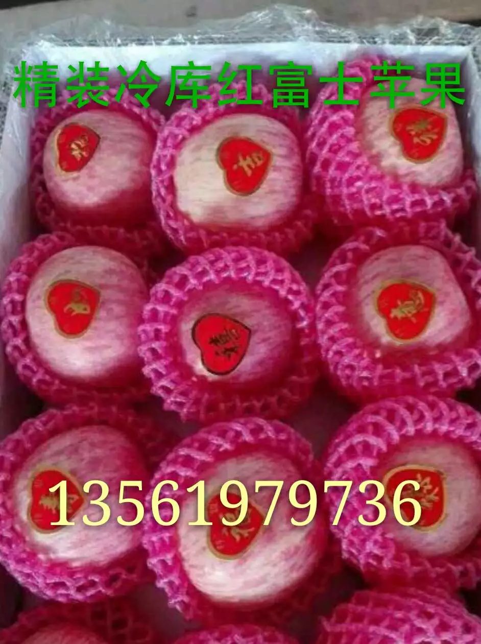 紅富士蘋果產(chǎn)地直銷批發(fā)