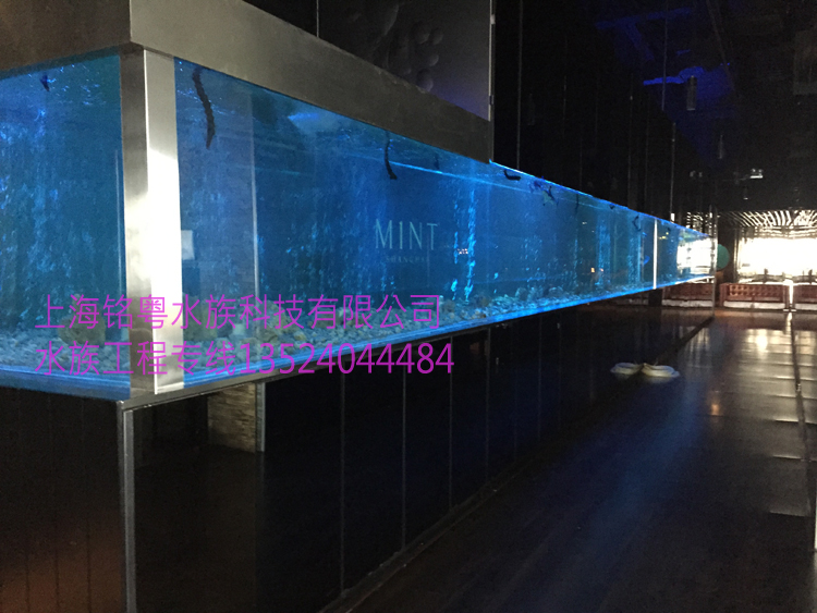 銘粵水族承接大型超白玻璃鯊魚魚缸 生態(tài)景觀魚缸