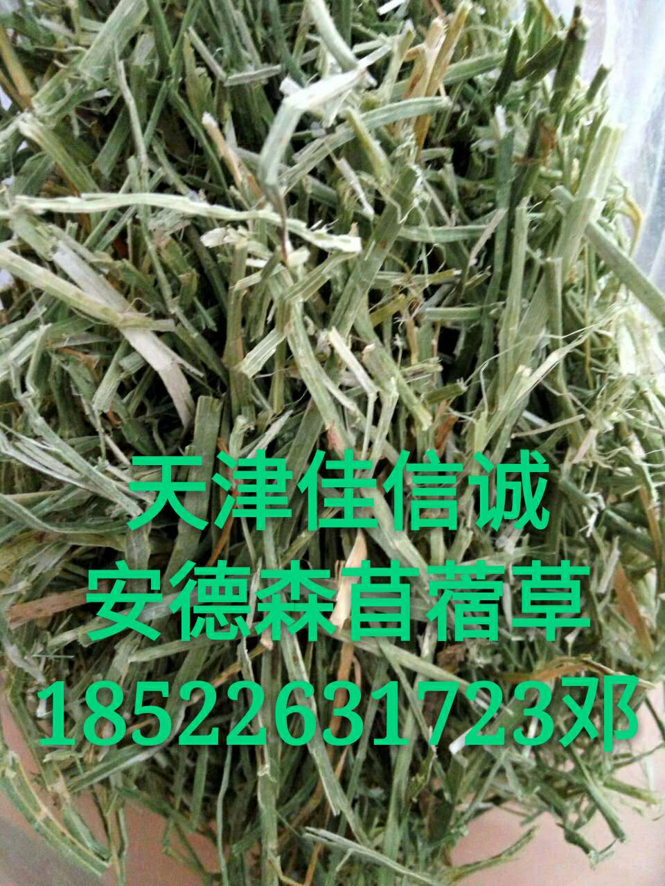 天津佳信誠大量供應(yīng)安德森苜蓿草牛羊飼料