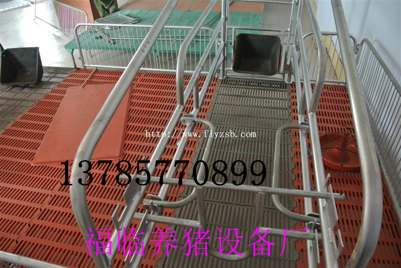 限位欄母豬產(chǎn)床仔豬保育欄 限位欄母豬產(chǎn)床仔豬保育床