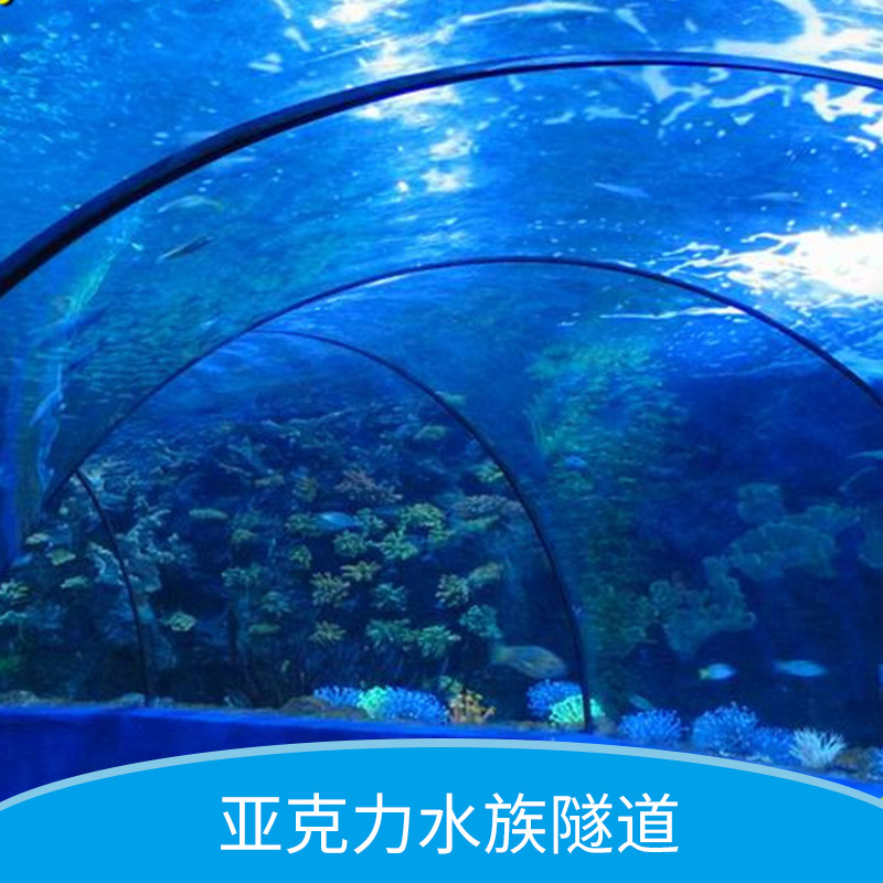 亞克力異形魚缸 亞克力水族隧道 亞克力水族批發(fā)