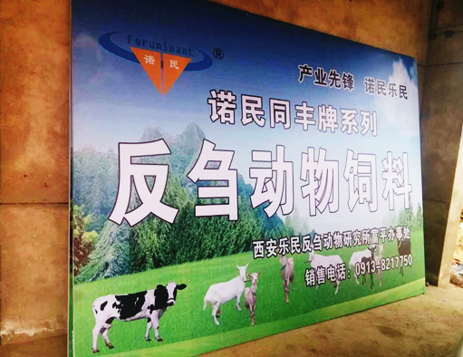 生長(zhǎng)育肥牛4%復(fù)合預(yù)混合飼料彼富泰（BC540）牧草 西安諾民彼富泰（BC540）