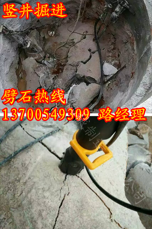 快速破樁基混凝土樁頭破拆機(jī)