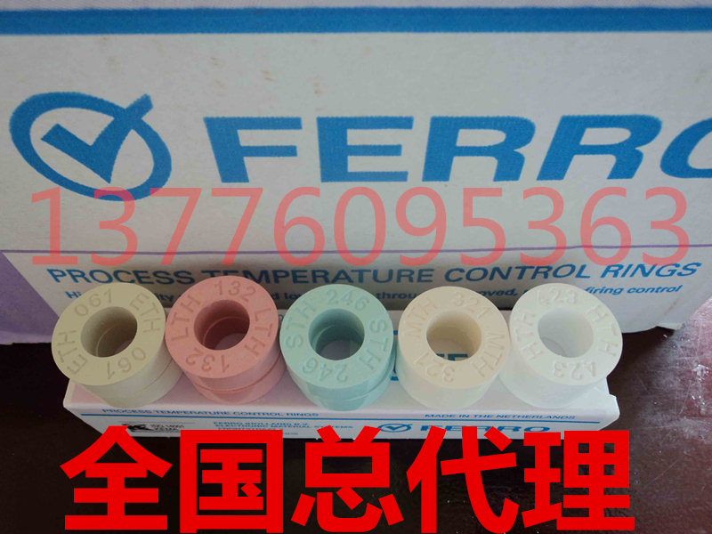 FERRO測溫環(huán)美國福祿測溫環(huán)高精度測溫環(huán)測溫測溫磚