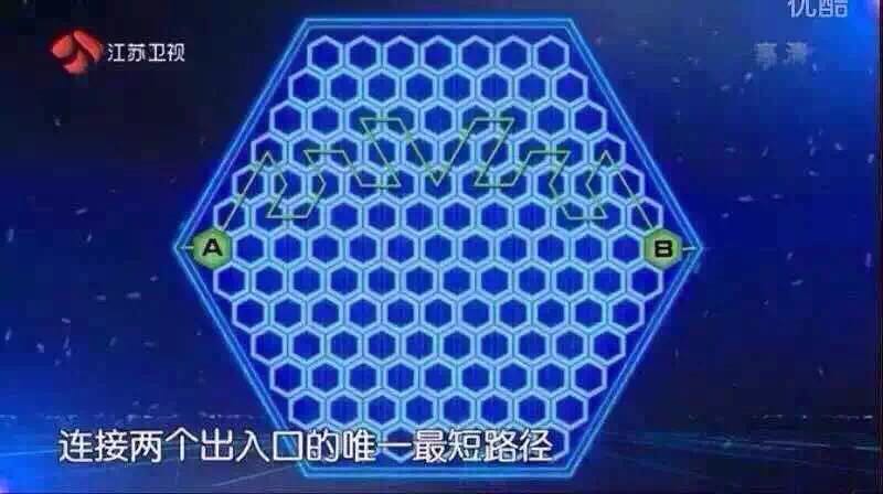蜂巢迷宮供應(yīng)不同尺寸的蜂巢迷宮定制出租出售