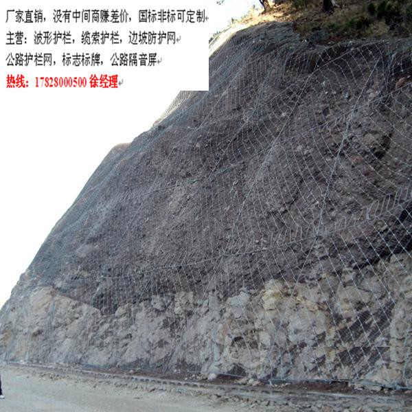 邊坡主動(dòng)網(wǎng)/sns柔性主動(dòng)網(wǎng)/GPS2主動(dòng)網(wǎng)廠家價(jià)格便宜