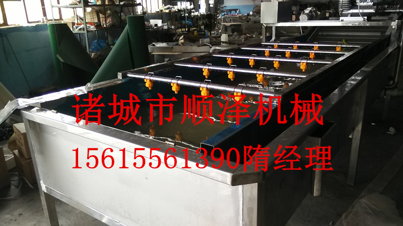 廠家直銷云南野竹筍清洗機 全自動鼓泡式清洗機 各種型號蔬菜清洗機