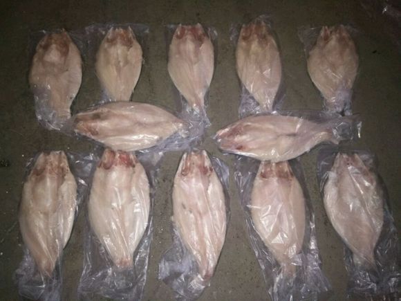 嘉億小康轉(zhuǎn)爐烤魚 轉(zhuǎn)爐烤魚還是小康家的號