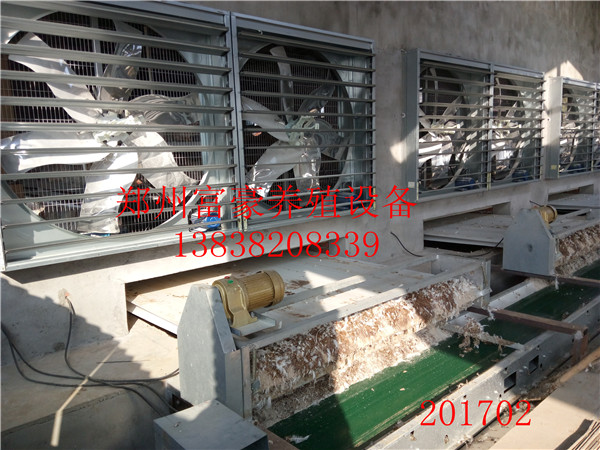 自動(dòng)化養(yǎng)雞設(shè)備階梯撿蛋機(jī) 皮帶清