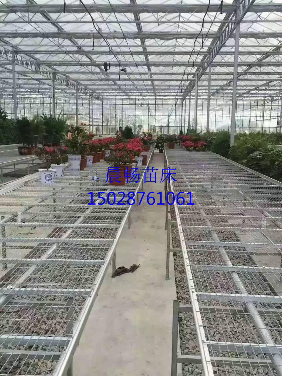 移動(dòng)苗床廠家溫室移動(dòng)苗床價(jià)格