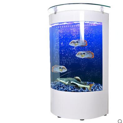 半圓形生態(tài)魚缸創(chuàng)意歐式玻璃魚缸落地免換水靠墻觀賞魚水族箱客廳