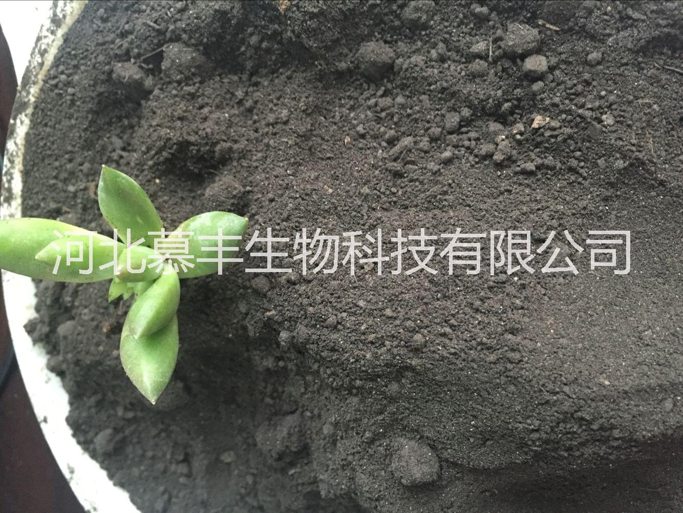 山東干雞糞 雞糞發(fā)酵有機肥 豬糞