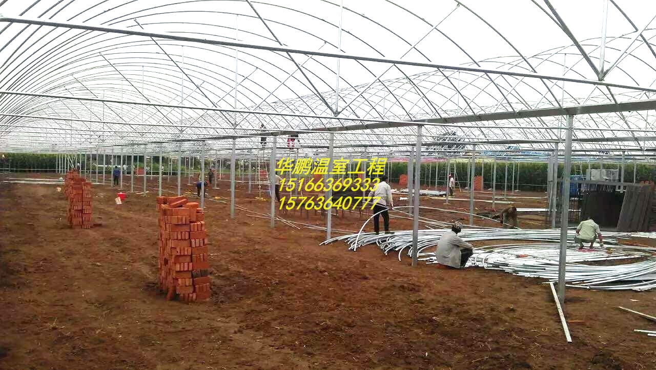 大棚、蔬菜大棚、溫室大棚建設(shè)