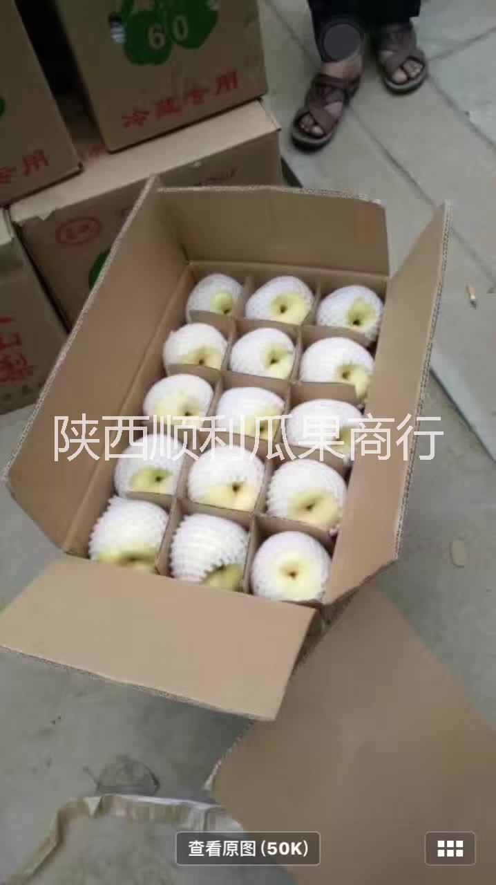 陜西冷庫(kù)碭山酥梨4兩以上包裝產(chǎn)地直銷(xiāo)價(jià)格