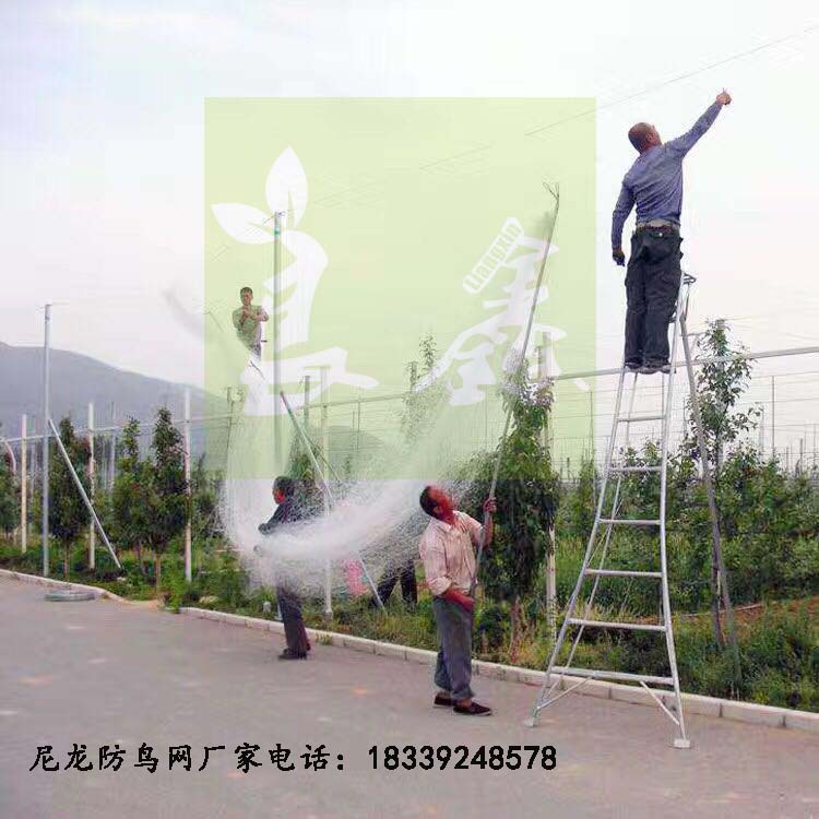 蔬菜防蟲網(wǎng) | 百香果網(wǎng) | 黃瓜爬藤網(wǎng) | 葡萄防鳥網(wǎng)廠家安裝