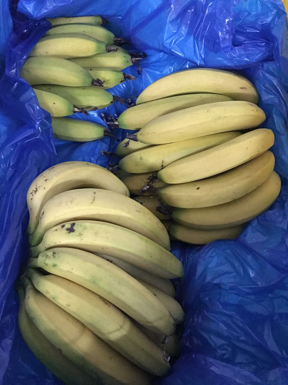 新塘蔬菜配送、新塘蔬菜配送公司-廣州紅豆蔬菜配送有限公司更生鮮