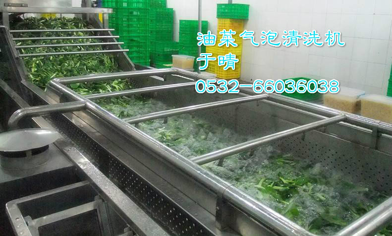 白菜氣泡清洗機，好用便宜