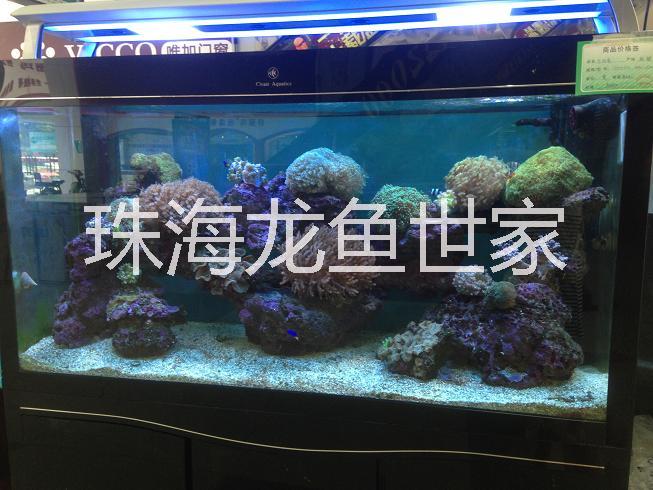 批量銷售亞克力魚缸 珠海珊瑚魚缸定做 亞克力魚缸定做