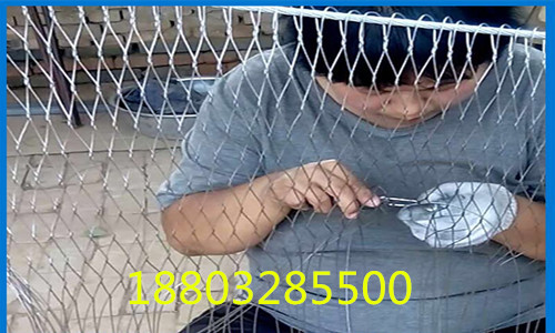 不銹鋼繩網(wǎng)圍網(wǎng)專業(yè)生產(chǎn)廠家