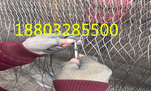 不銹鋼繩網(wǎng)圍網(wǎng)專業(yè)生產(chǎn)廠家